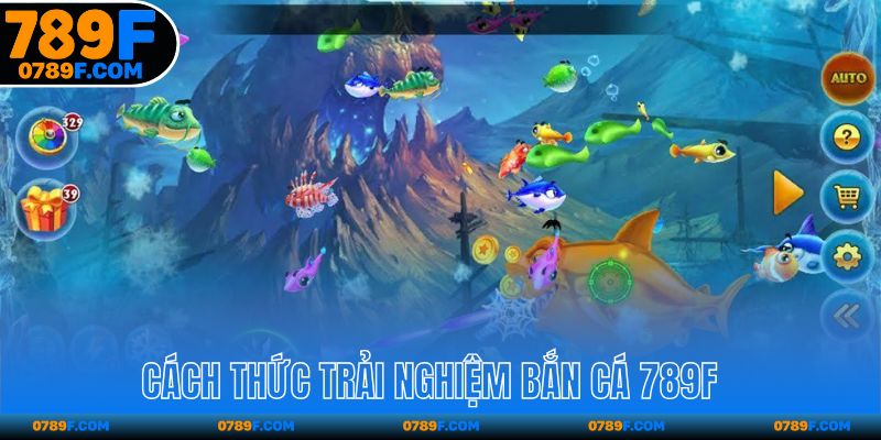 Cách thức trải nghiệm chi tiết cho người mới