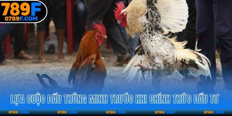 Lựa chọn trận đấu phù hợp trước khi chính thức đầu tư 
