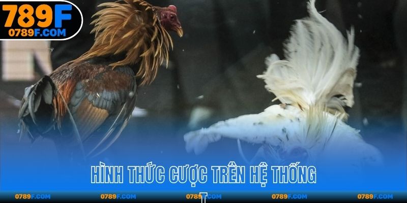 Hình thức cược trên hệ thống