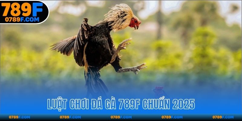 Luật chơi đá gà 789F chuẩn 2025