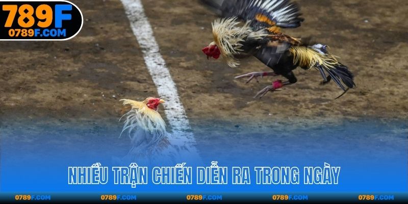 Nhiều trận chiến diễn ra trong ngày