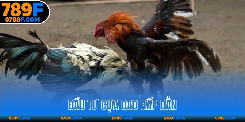 Đầu tư cựa dao hấp dẫn